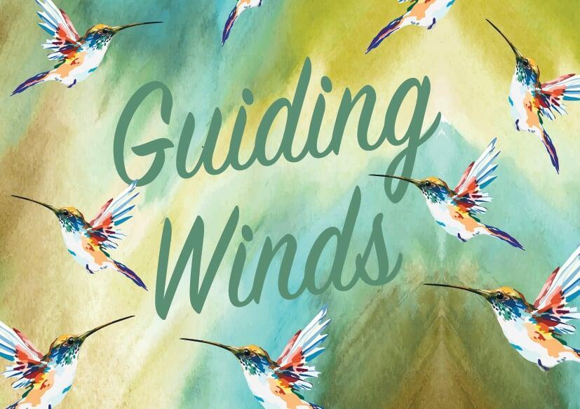 Guiding Winds
